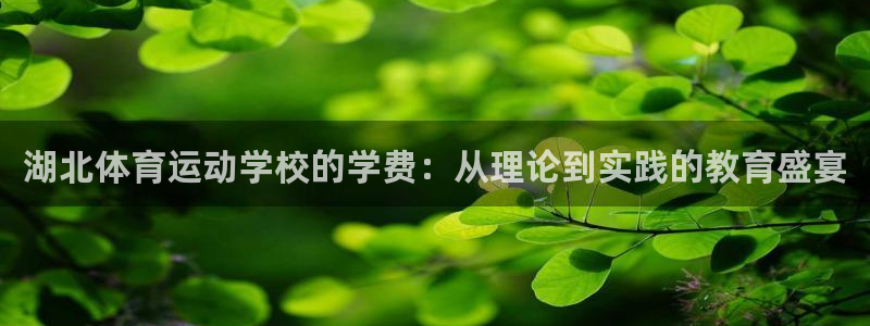 米兰体育官方正版app集团官网首页网址：湖北体育运动