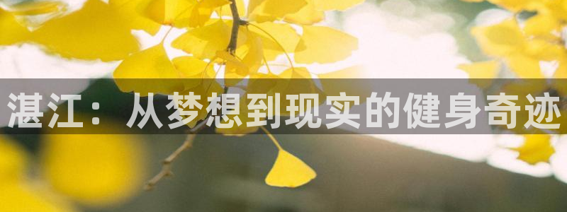 米兰体育官网下载招商电话是多少啊：湛江：从梦想到现实