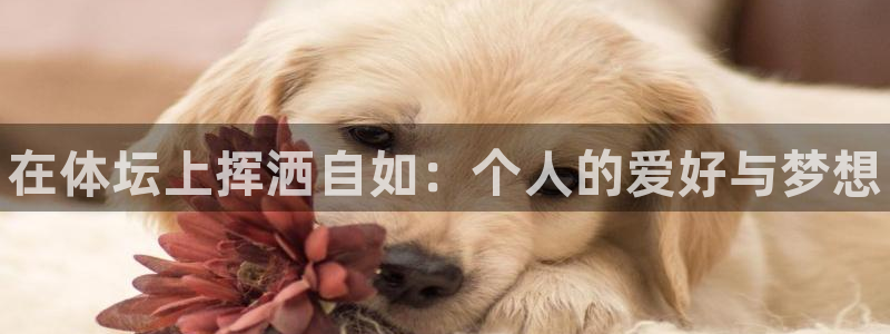 米兰体育官方正版app娱乐首页官网下载：在体坛上挥洒