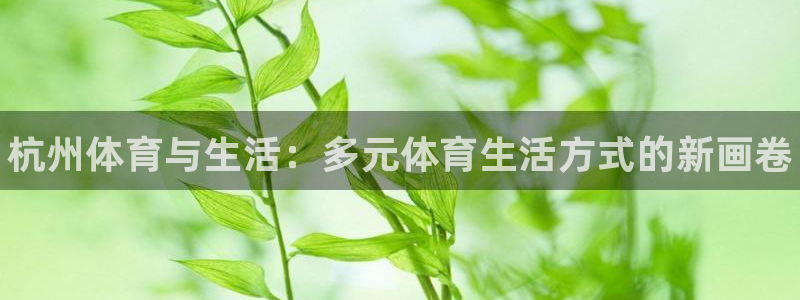 米兰体育官方正版app集团E.ON：杭州体育与生活：