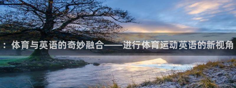 米兰体育官方正版app集团E.ON：：体育与英语的奇