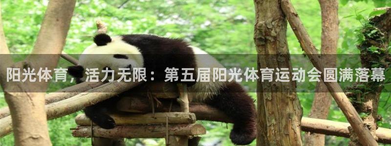 米兰体育官网下载招商电话是多少：阳光体育，活力无限：