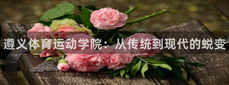 米兰体育官网下载平台注册：遵义体育运动学院：从传统到