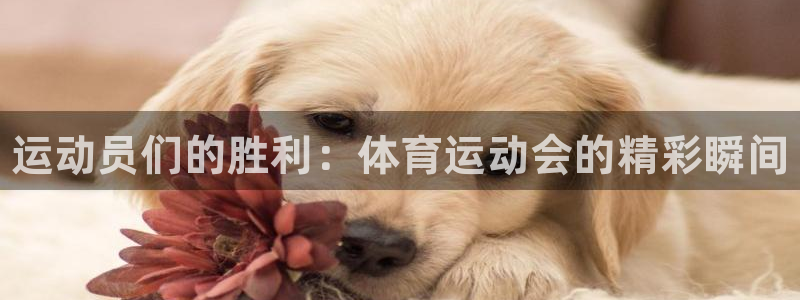 米兰体育官网下载平台假的吗是真的吗：运动员们的胜利：