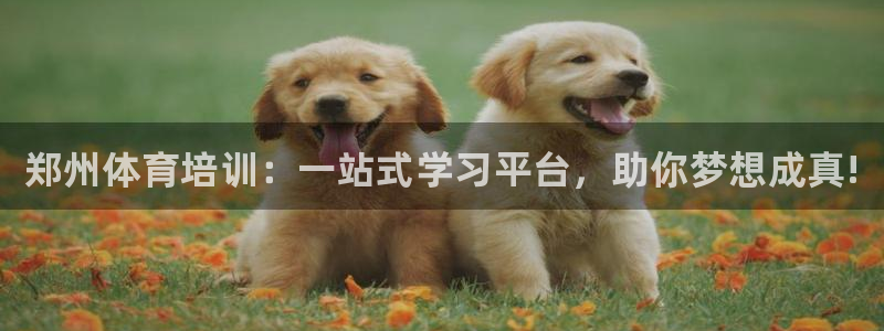 米兰体育官方正版app神州