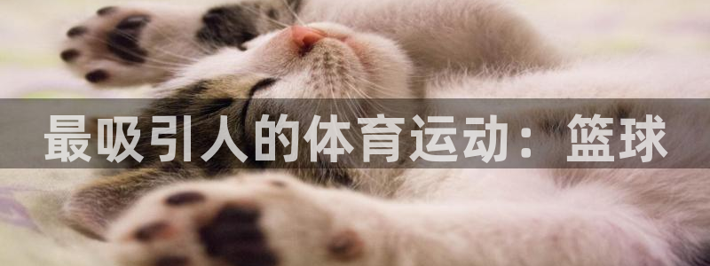 米兰体育官网下载平台注册要钱吗是真的吗：最吸引人的体