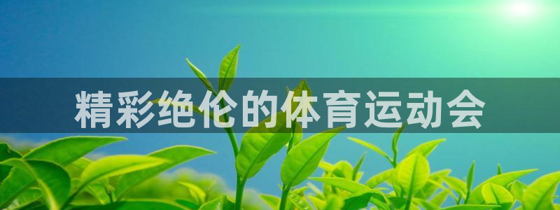 米兰体育官方集团官网：精彩绝伦的体育运动会