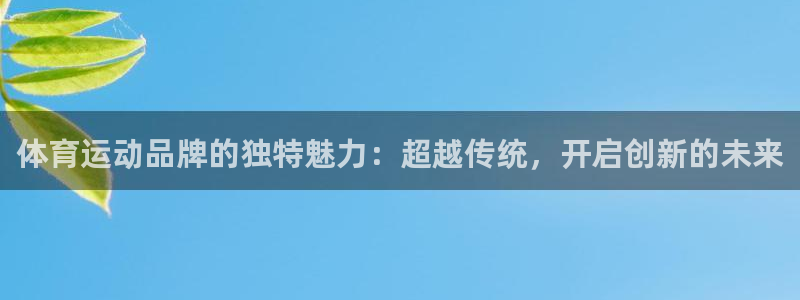 米兰体育官网下载招商电话是多少：体育运动品牌的独特魅力：超越