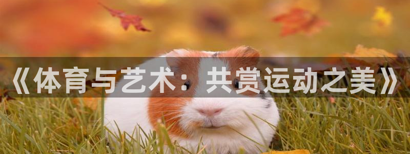 米兰体育官方正版app集团E.ON：《体育与艺术：共