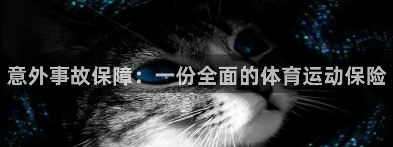 米兰体育官方正版app娱乐平台：意外事故保障：一份全