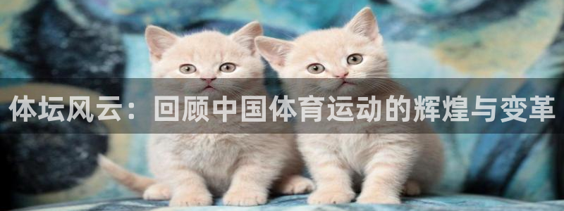 海南米兰体育官网下载：体坛风云：回顾中国体育运动的辉煌与变革