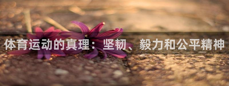 米兰体育官网下载平台是正规平台吗安全吗