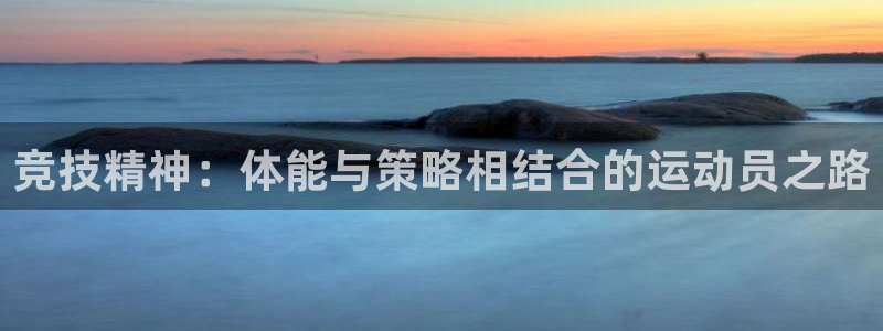 米兰体育官网下载娱乐：竞技精神：体能与策略相结合的运动员之路