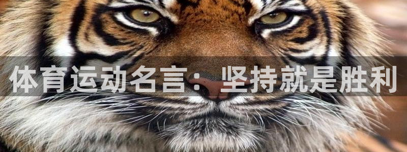 米兰体育官方正版app五金厂